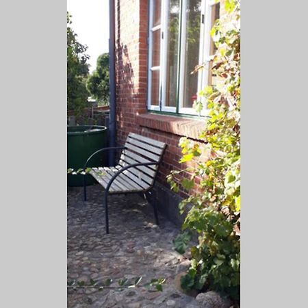 Ferienwohnung In Seenaehe Borgdorf-Seedorf Zewnętrze zdjęcie